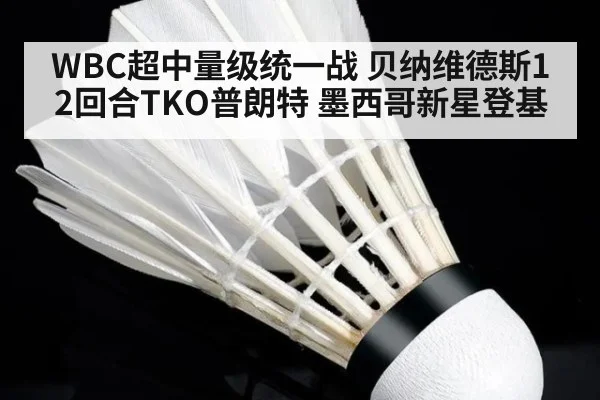 WBC超中量级统一战 贝纳维德斯12回合TKO普朗特 墨西哥新星登基